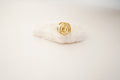 Bague & Boucles d’Oreilles Rose Sculptée en Acier Inoxydable Style Artistique